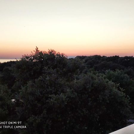 Apartment Feliks Мандре Екстериор снимка